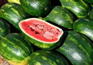 美食娱乐吃瓜视频下载,下载攻略与热门推荐