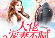 大佬宠妻不腻全文免费,大佬的宠妻甜蜜日常