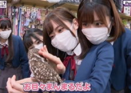 吃瓜推特网红,揭秘吃瓜界的风云人物与幕后故事”