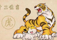 皮里阳秋是什么生肖,探寻蛇的神秘寓意