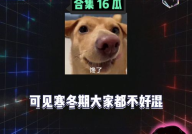 娱乐八卦吃瓜每日爆料,每日爆料揭秘明星幕后故事”