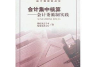 会计司,专业服务与行业发展的推动者